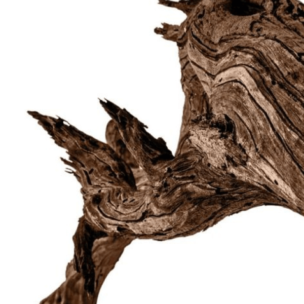 Strălucirea de după