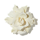 Gardenia